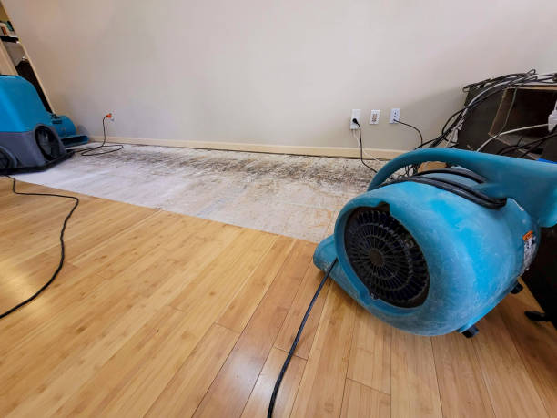 Professional Burst Pipe Water Damage technician working in Berlin, MD